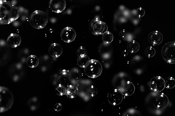 transparent soap bubbles floating on the dark, bubbles abstract background, black background