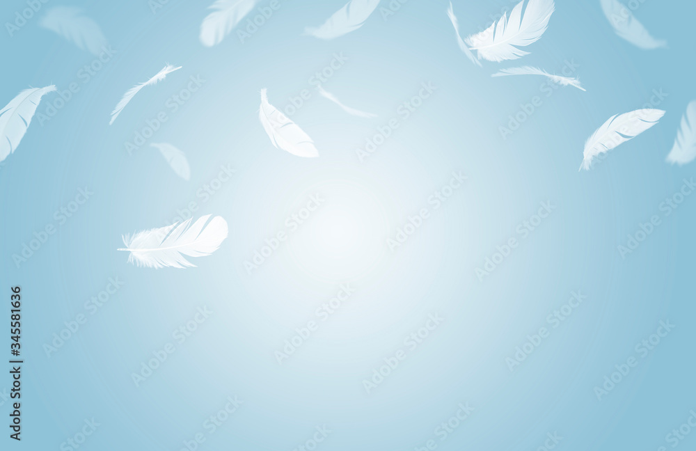 Wall mural white feathers floating in the air, blue background with copy space, feathers abstract background