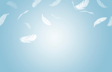 white feathers floating in the air, blue background with copy space, feathers abstract background 