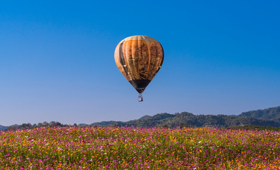 Fototapeta premium Close up hot air balloon flying up on cosmos field with blue sky background