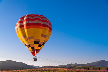 Close up hot air balloon flying up on cosmos field with blue sky background