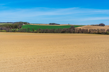 Fototapeta na wymiar Agricultural landscape, arable crop field