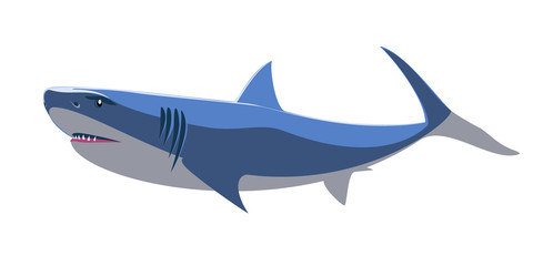 Shark swimming  fish  underwater. Marine wildlife. Vector illustration.