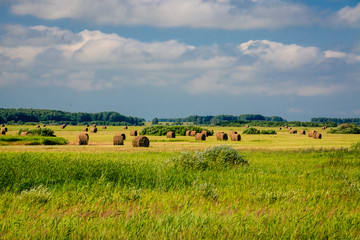Fototapeta na wymiar The hay bales scattered on the farm meadow. The forest is visible on the horizon. Swollen clouds float across the blue sky.