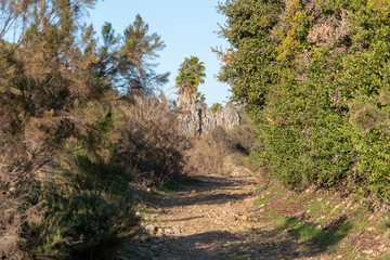 trail  in the Navajo canyon in San Diego