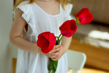 Red tulips in the hands of a little girl in a white dress