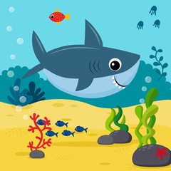 shark and fish