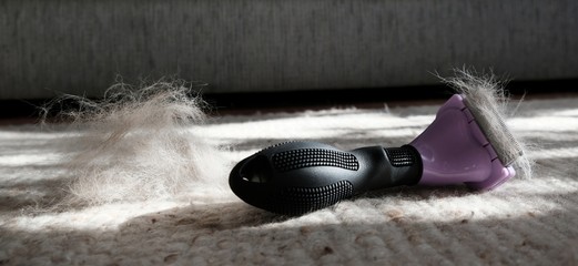 Fototapeta na wymiar A comb for combing the hair of cat and dogs is lying on light wool rug. A lot of fluff next to it.