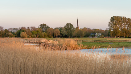 Holenderski krajobraz, łąka w Holandii Północnej. - obrazy, fototapety, plakaty