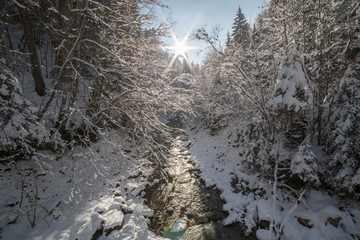 Tr&ecirc;me by winter