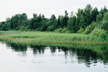 smooth lake and banks with grass