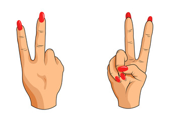 Peace gesture / V sign (woman's hand) - isolated vector