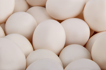 A Lot of white raw chicken eggs as background