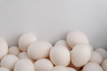 A lot of white raw chicken eggs as a background, top view and free space for text.