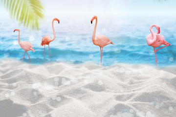 Flamingos Bird with Tropical sea sand sun Montage Summer background concept