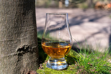 Tasting of scotch single malt whisky from Islay island, most intensely flavoured of all whiskies in Scotland