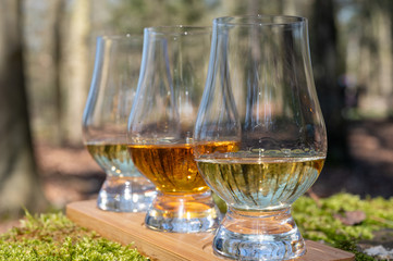 Tasting of scotch single malt whisky from Islay island, most intensely flavoured of all whiskies in Scotland