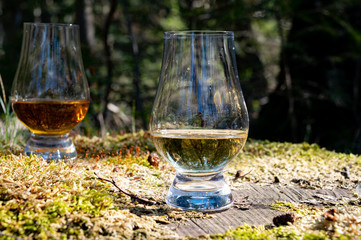 Tasting of scotch single malt whisky from Islay island, most intensely flavoured of all whiskies in Scotland