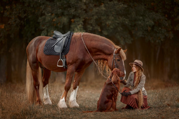 Beautiful long-haired blonde young woman in English style with red draft horse, Irish setter and Weimaraner dogs in autumn forest