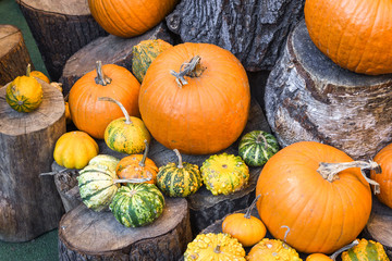 Halloween pumpkins pile or stack mix assortment, during food festival, at the market.