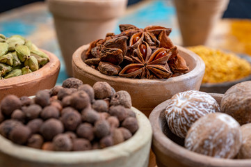 Indian spices collection, dried colorful condiment, nuts, pods and seeds and another spices in clay bowls