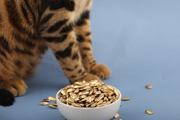Golden seeds lie on a bright background