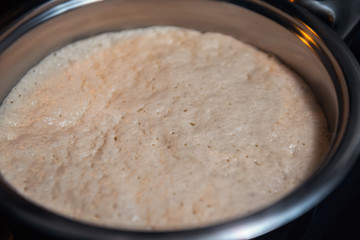 Raw yeast dough in a stainless steel bowl