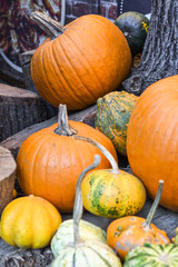 Halloween pumpkins pile or stack mix assortment, during food festival, at the market.