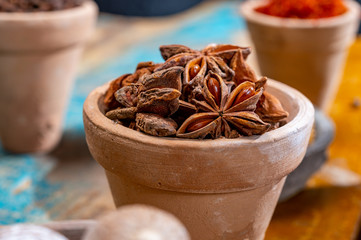 Indian spices collection, dried aromatic star anise and another spices in clay bowls