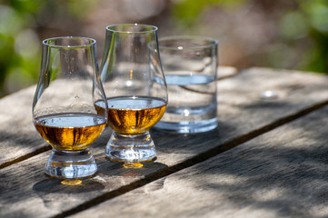 Tasting of scotch single malt whisky from Islay island, most intensely flavoured of all whiskies in Scotland