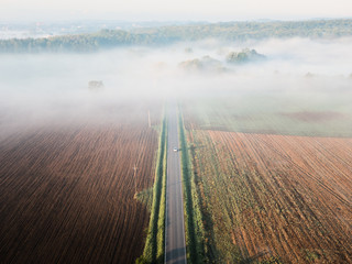 through the fog
