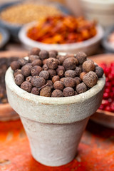 Indian spices collection, dried whole allspice berries and another spices in clay bowls