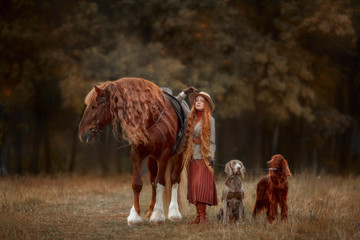 Beautiful long-haired blonde young woman in English style with red draft horse, Irish setter and Weimaraner dogs in autumn forest - 345594069