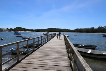 Fototapeta premium jgfjgjj