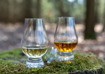 Tasting of scotch single malt whisky from Islay island, most intensely flavoured of all whiskies in Scotland