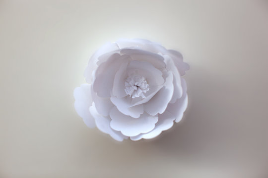 Handmade paper art flower on background. Petal or rose. 