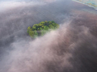 foggy