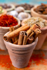 Indian spices collection, dried aromatic cinnamon barks and another spices in clay bowls