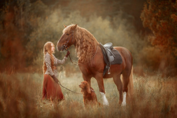 Beautiful long-haired blonde young woman in English style with red draft horse, Irish setter and...