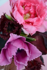Assorted tulips in a clay vase close-up