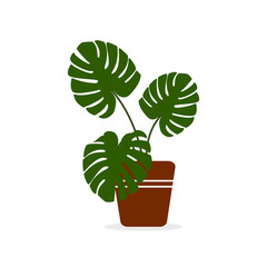 Fototapeta premium Indoor green plant in a flower pot in brown on an isolated white background. Vector illustration on an isolated white background. Modern abstract simple flat art style.