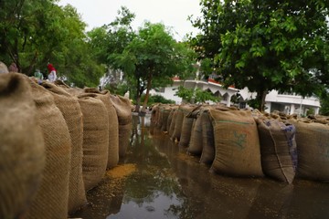 3 may 2020 sirsa\haryana\india.wheat crop kept in cereal market all spoiled due to rain