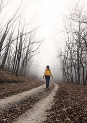 Girl walking through the foggy autumn forest. The girl is alone in the misty forest. Fabulous autumn forest. The girl is walking along the path. The girl in the yellow jacket. Traveling alone