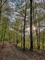 Frühlingsstimmung
