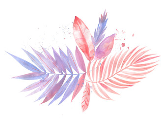 Palm pink and purple leaves, leaves of palm tree, watercolor illustration on isolated white background, greeting card