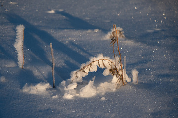 snow on the field with sun and dry grass