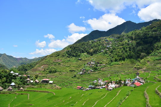 バナウェイの風景