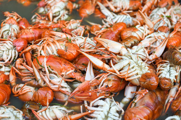 Boiled crawfish, fried crawfish, crawfish étouffée, crawfish beignets. Crayfish or crawdads