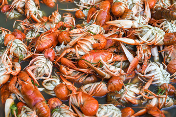 Boiled crawfish, fried crawfish, crawfish étouffée, crawfish beignets. Crayfish or crawdads