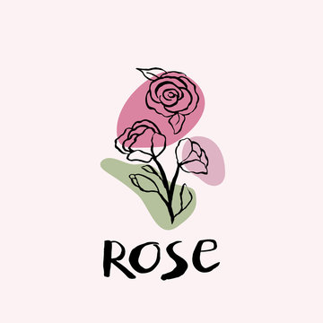 Rose black and white vector hand draw sketch with colored spots. Hand lettering text. Rose icon logo design template.